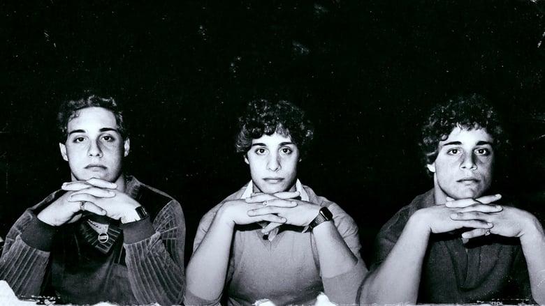 Three Identical Strangers image