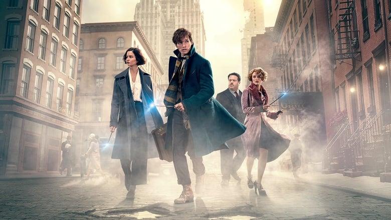 Fantastic Beasts and Where to Find Them image