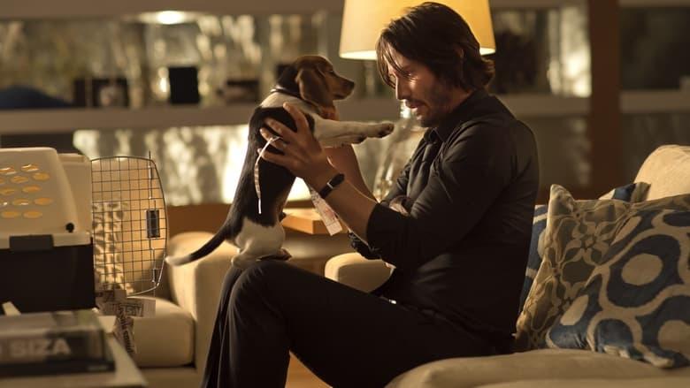 John Wick