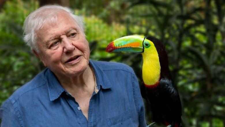 Attenborough's Life in Colour