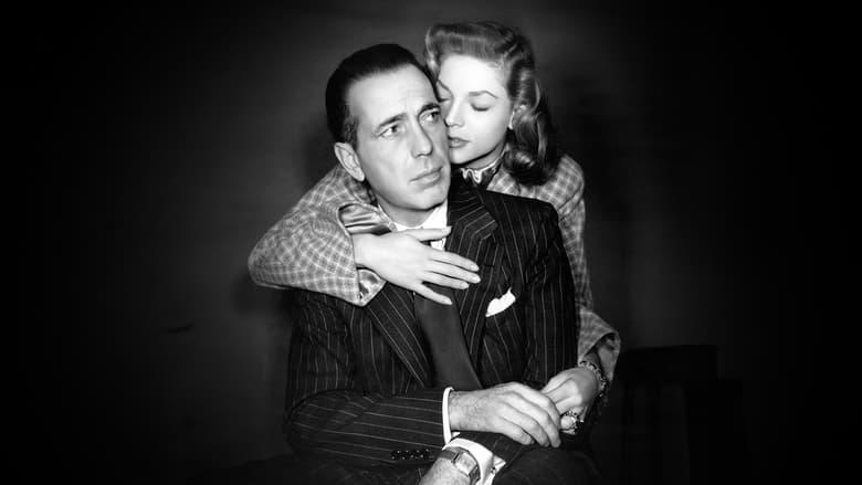 Bogart: Life Comes in Flashes image