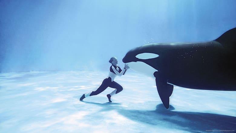 Blackfish image