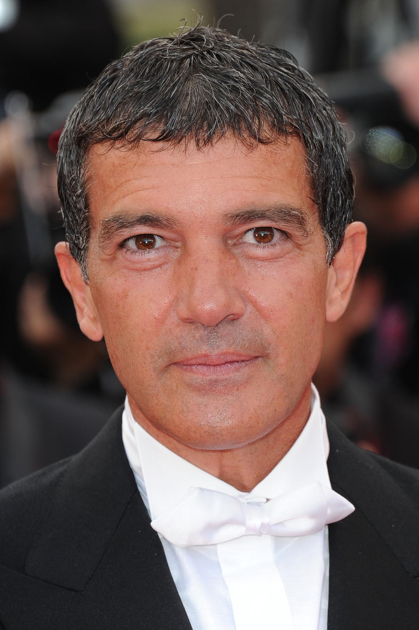 Antonio Banderas image