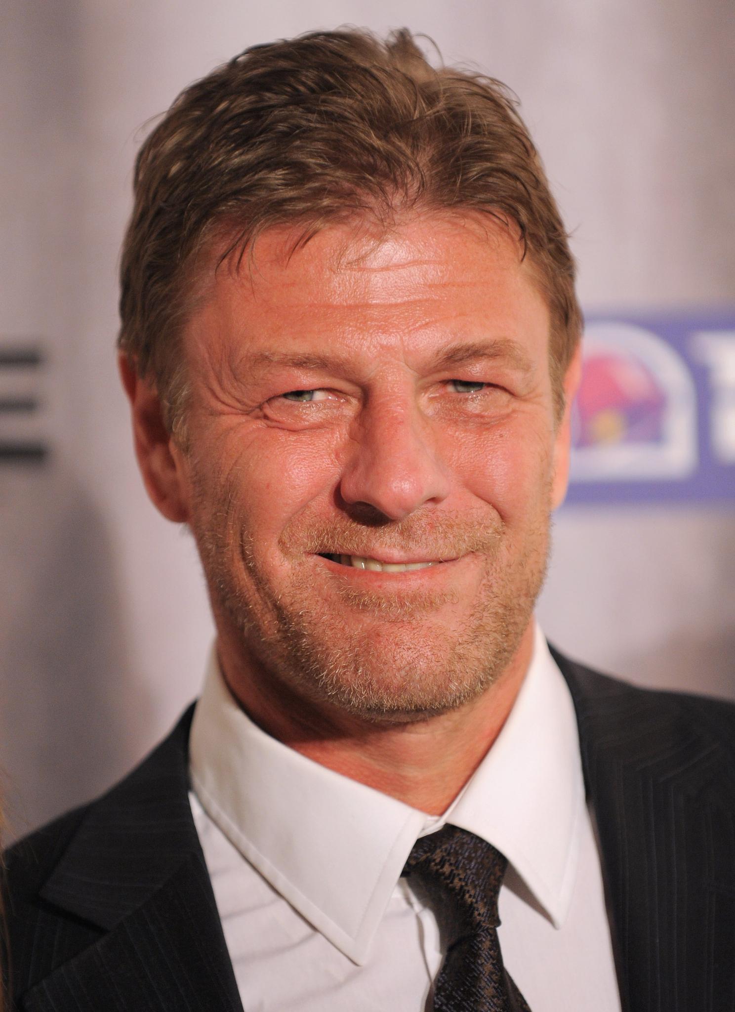 Sean Bean image