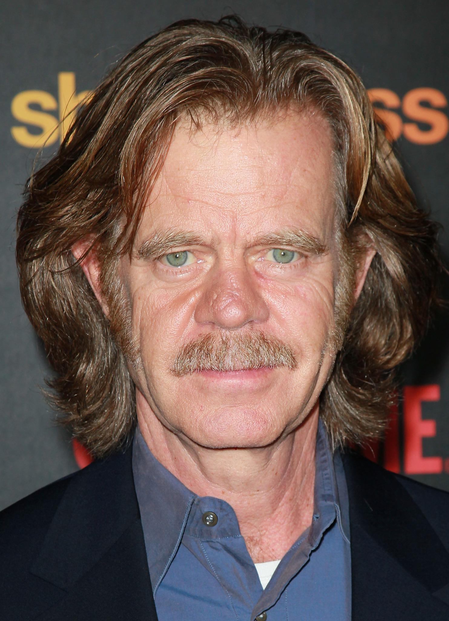 William H. Macy image