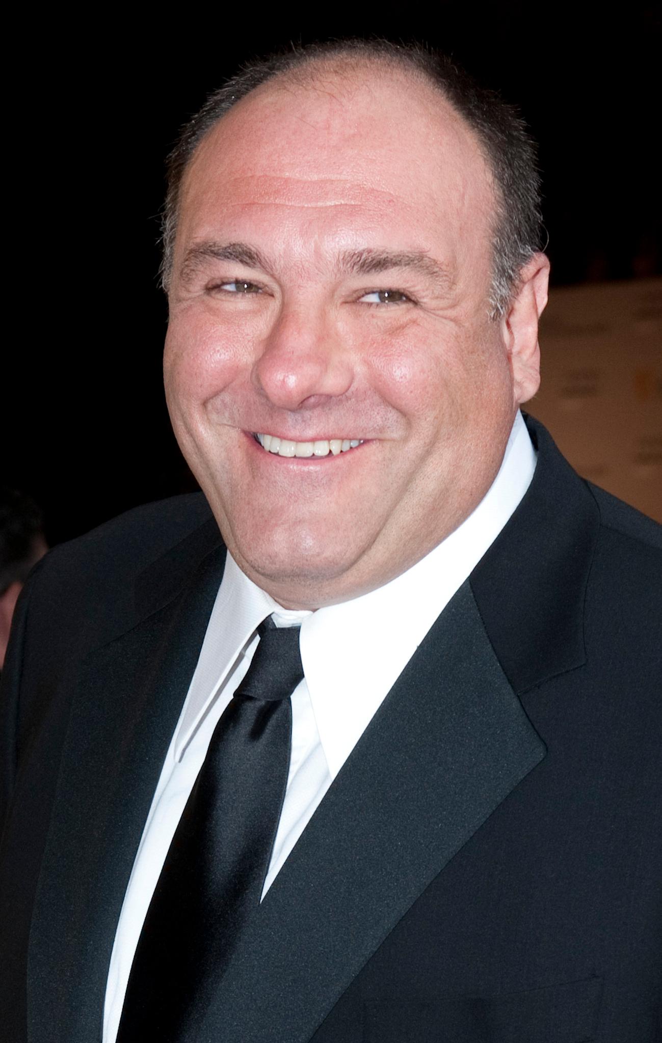 James Gandolfini image