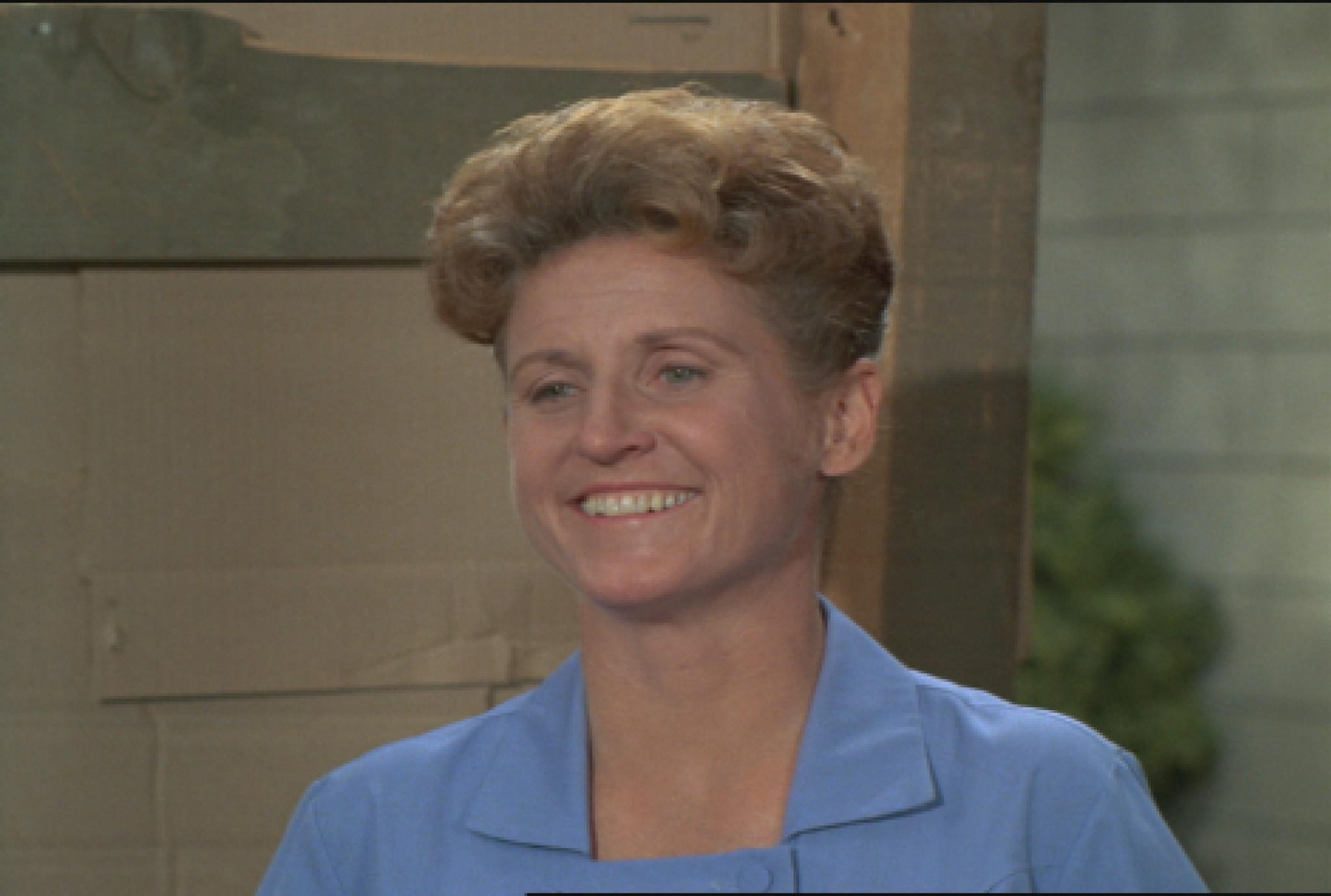 Ann B. Davis image