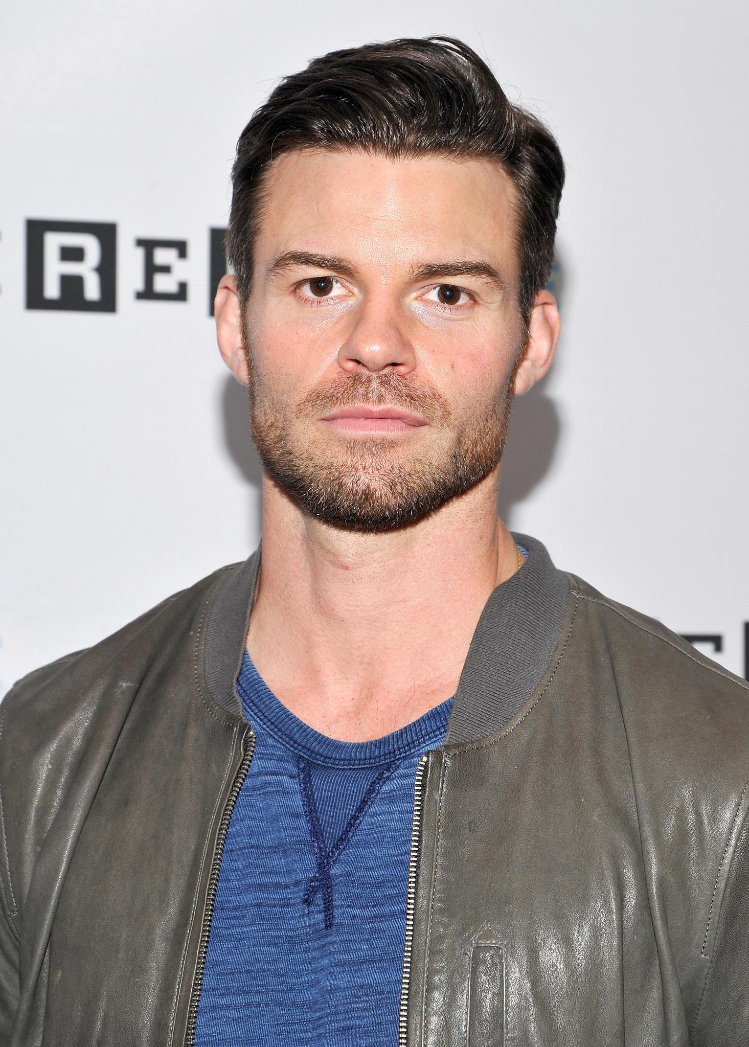 Daniel Gillies image