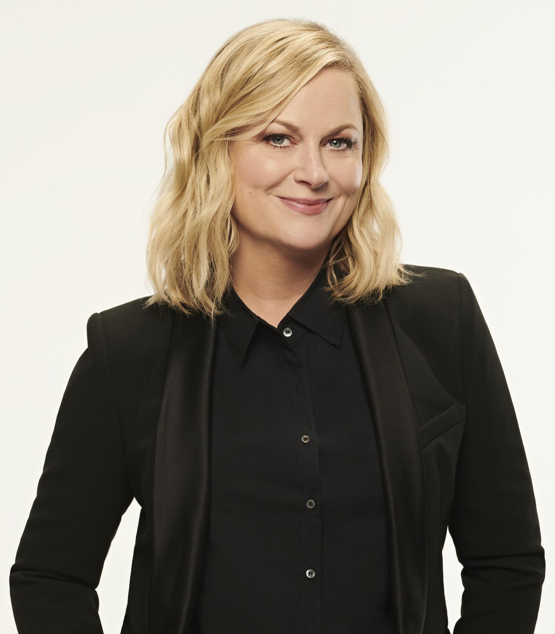 Amy Poehler image