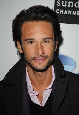 Rodrigo Santoro image