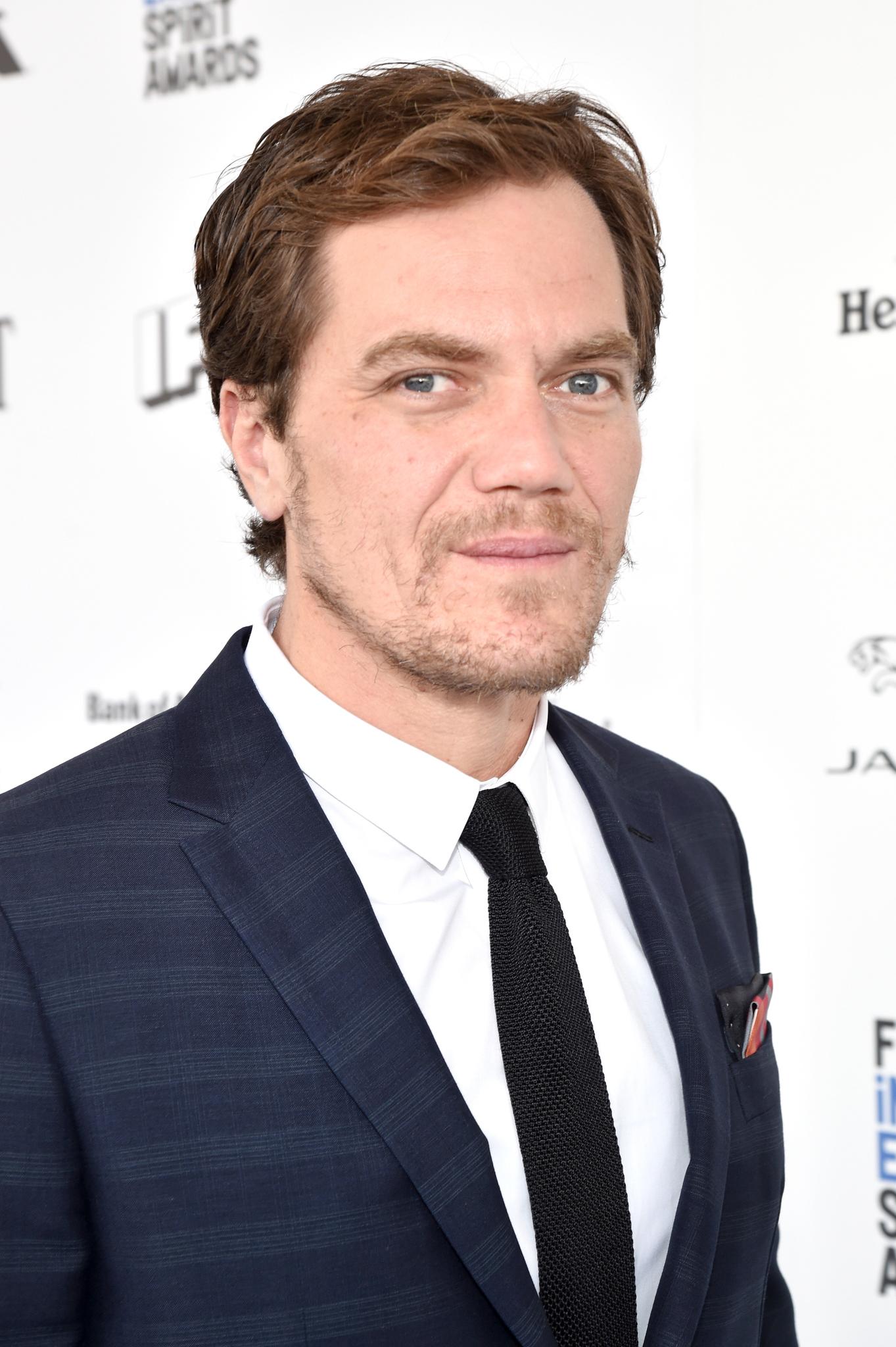 Michael Shannon image