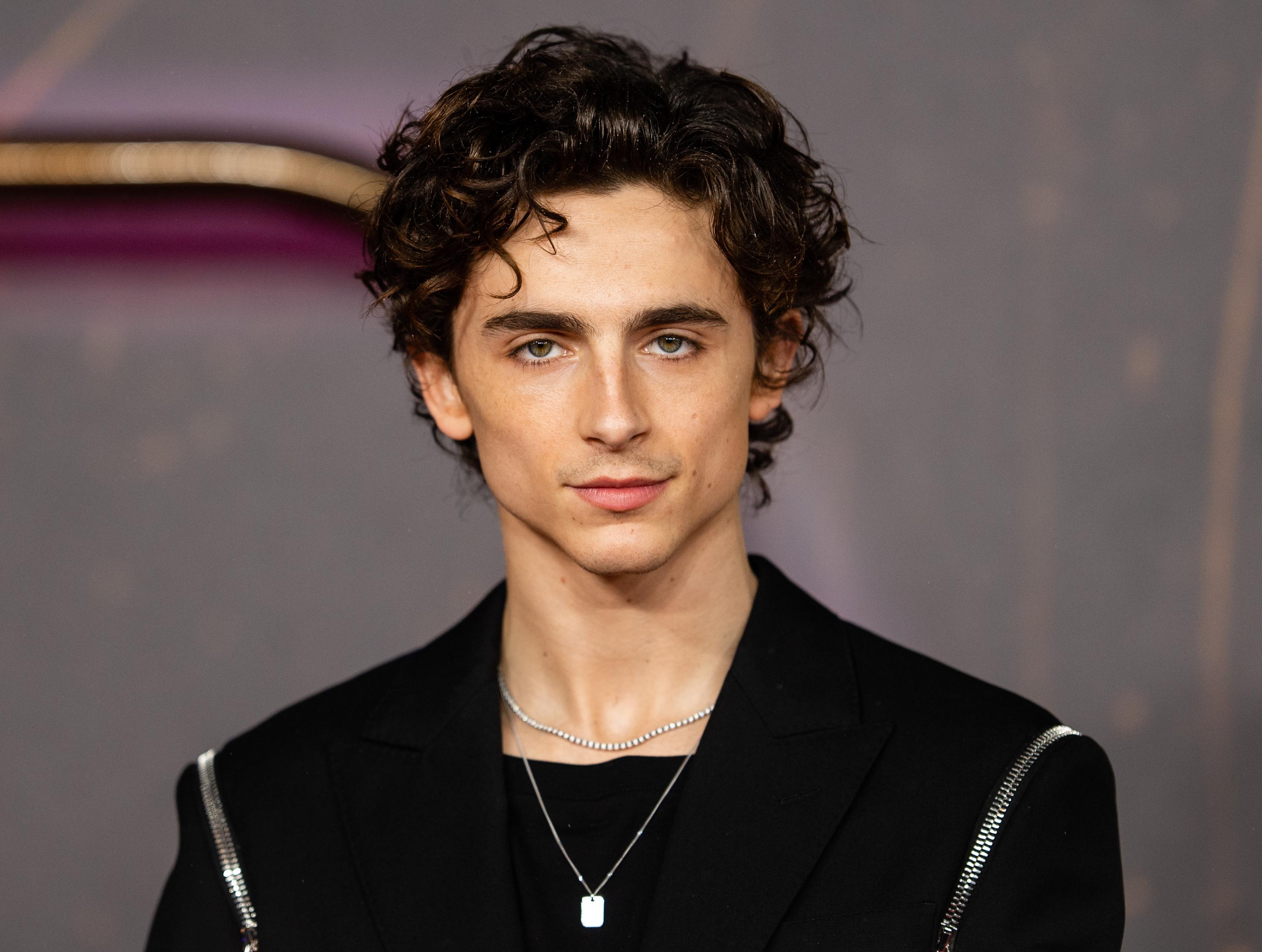 Timothée Chalamet image