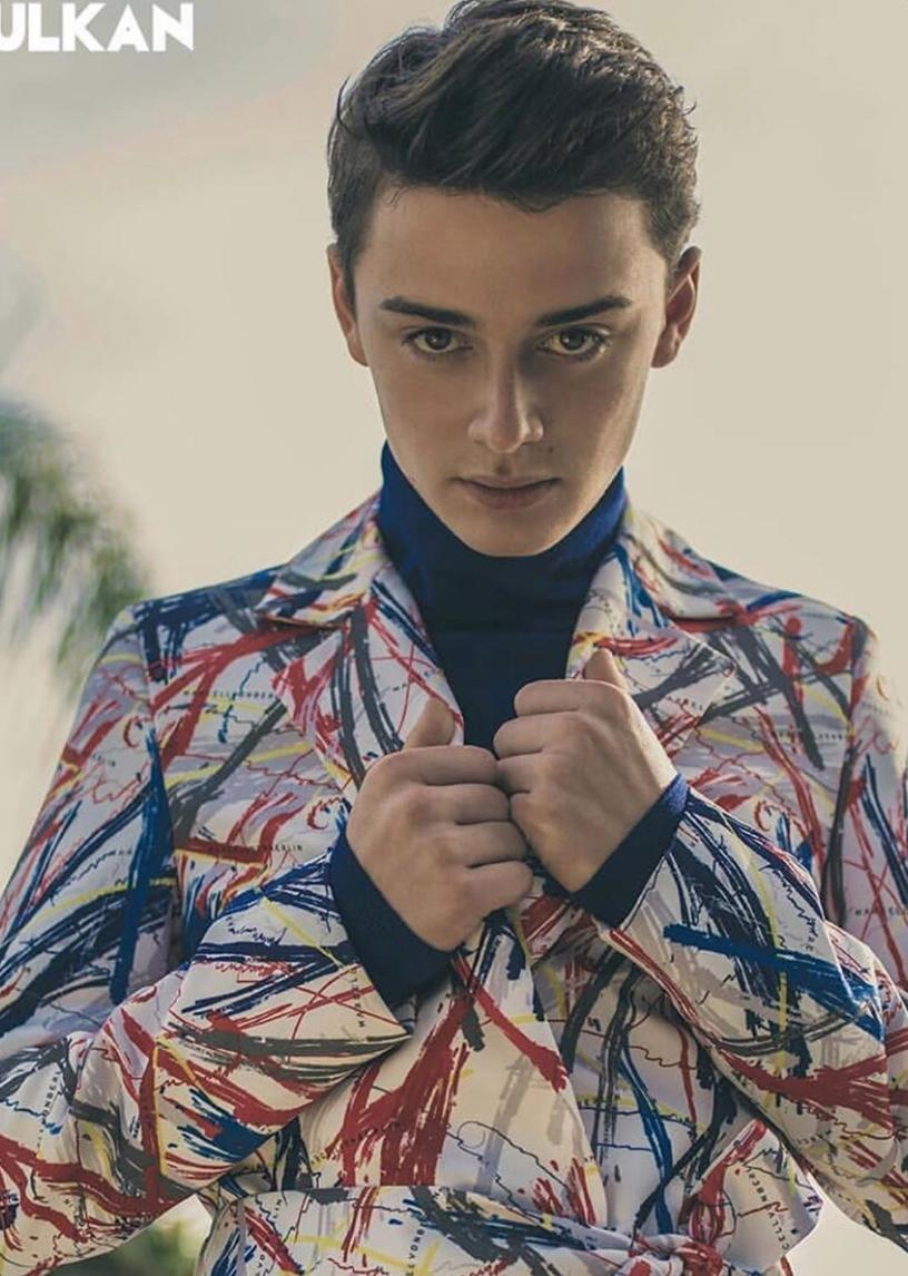 Noah Schnapp image