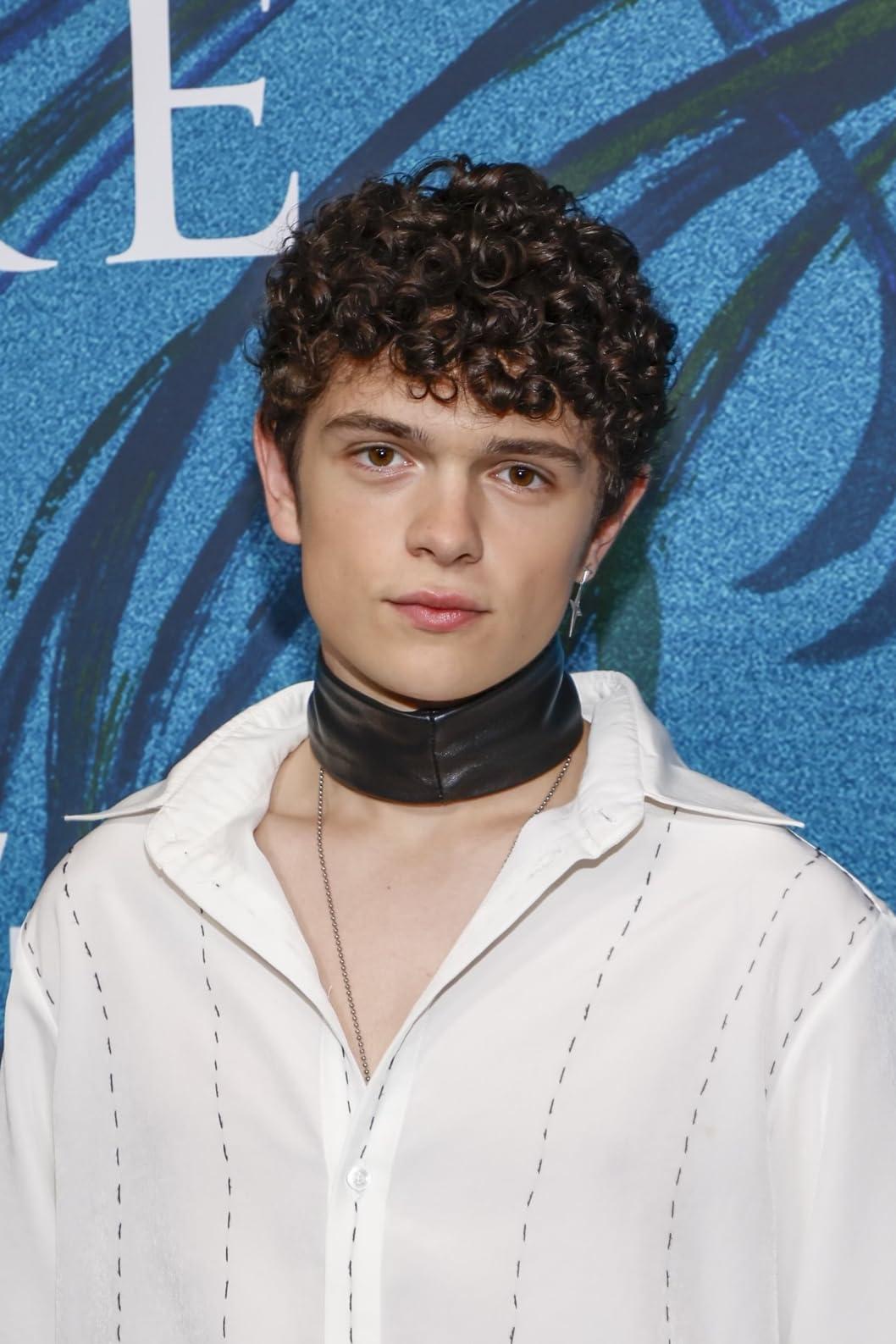 Noah Jupe image