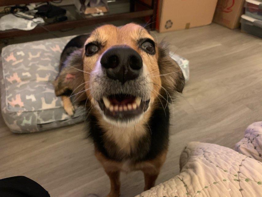 Rebecca profile photo